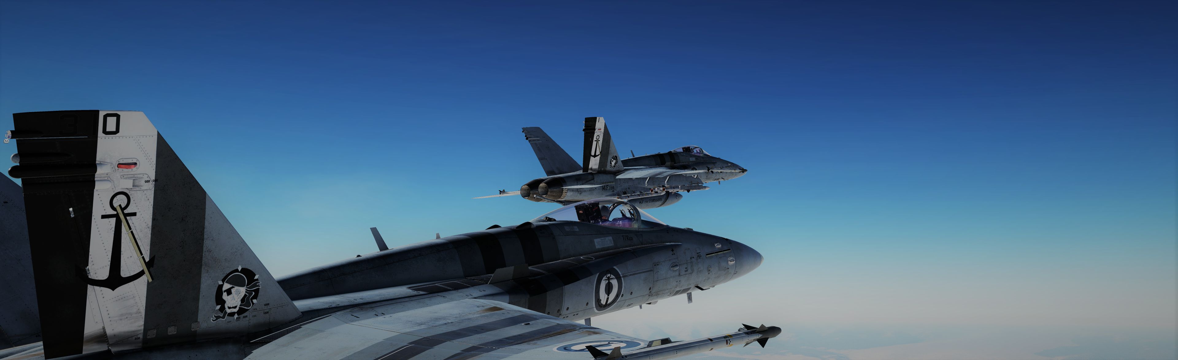 Banniere_F18_griffin_1 .png