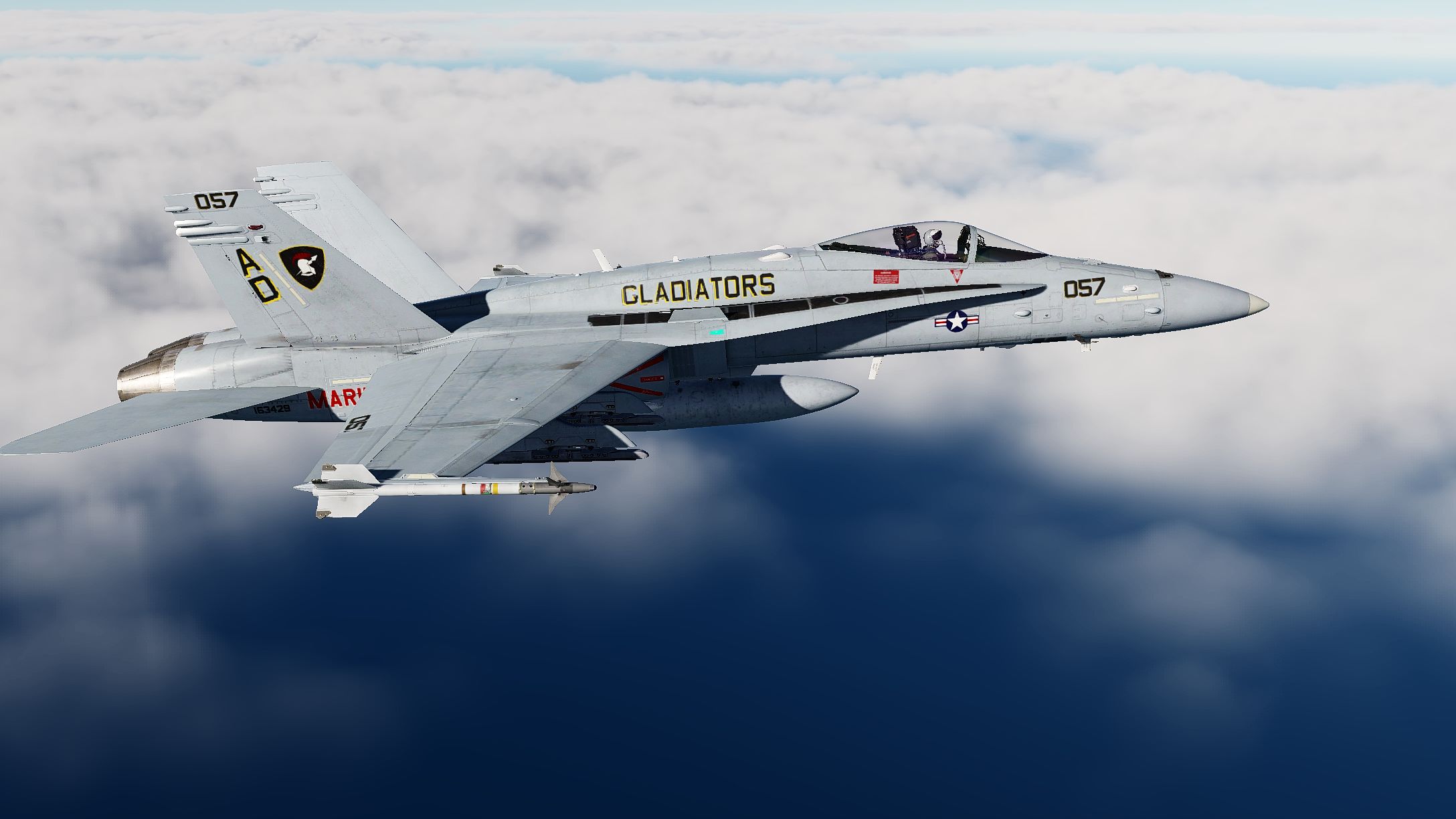 DCS 2022-05-29 19-54-10.png